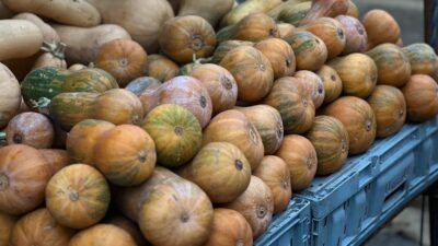 Why Seasonal Eating Matters More Than You Think