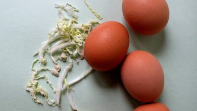 Why Simple Ingredients Often Make the Best Meals