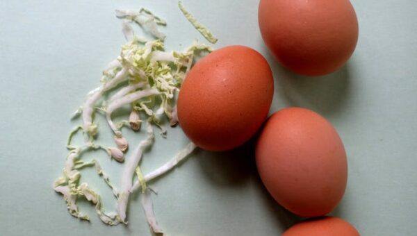 Why Simple Ingredients Often Make the Best Meals