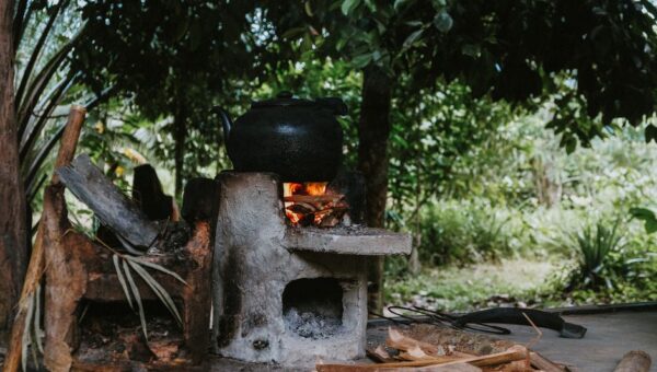 Eco-Friendly Cooking: Sustainable Recipes for 2026