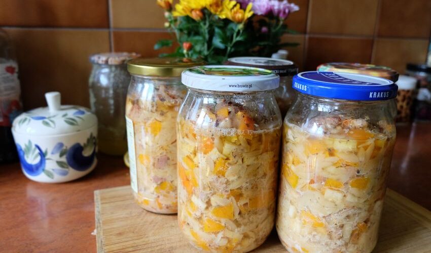 Harnessing the Power of Fermentation: Discovering Homemade Probiotics in 2026